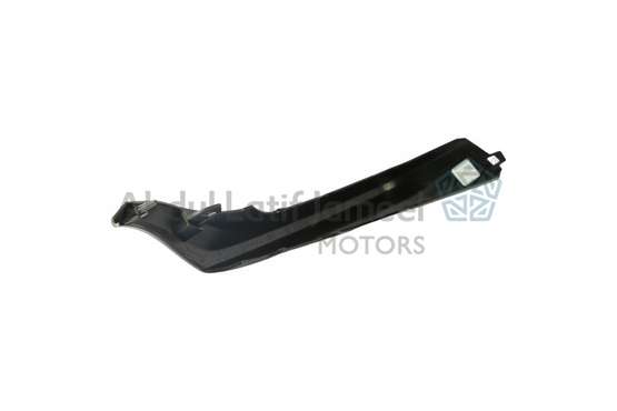 MOULDING, RADIATOR GRILLE, LWR RH | 01